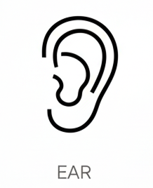 ear-services